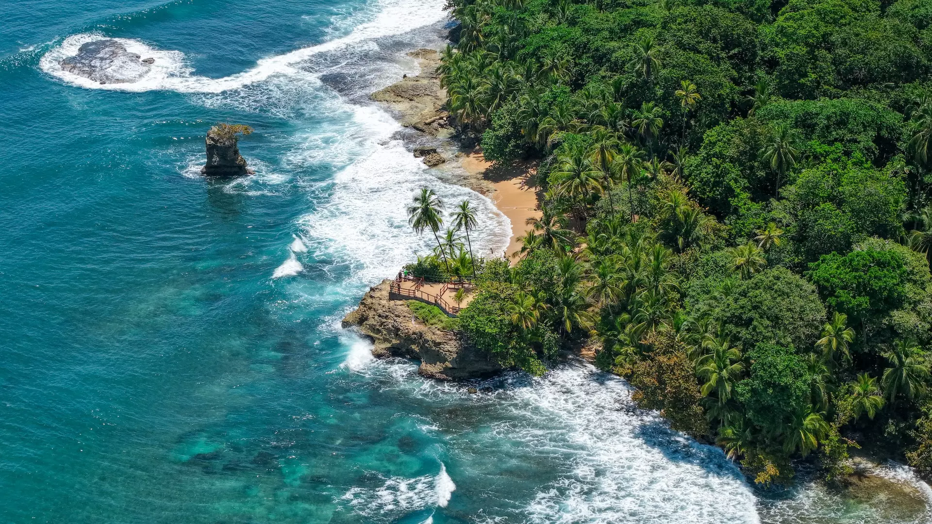 El Caribe tiene mil voces… ¡y la tuya cuenta!